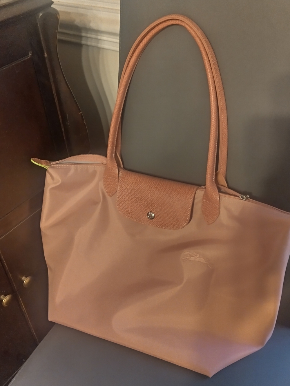 Longchamp Tote Bag in Dusty Rose